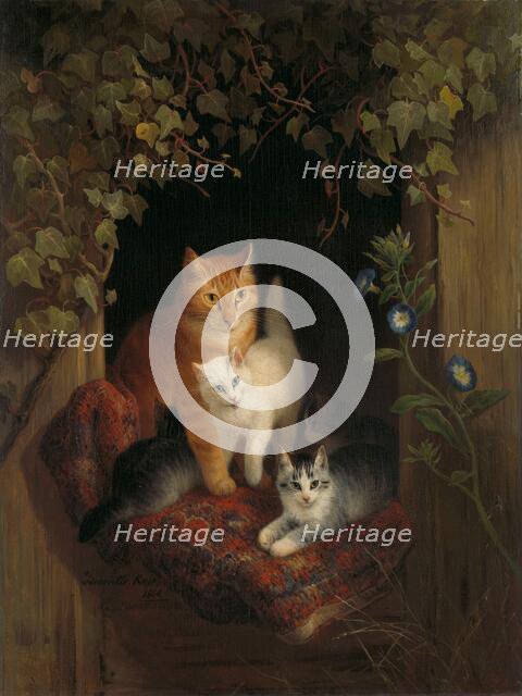 Cat with Kittens, 1844. Creator: Henriette Ronner.