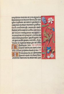 Hours of Queen Isabella the Catholic, Queen of Spain: Fol. 29r, c. 1500. Creator: Master of the First Prayerbook of Maximillian (Flemish, c. 1444-1519); Associates, and.