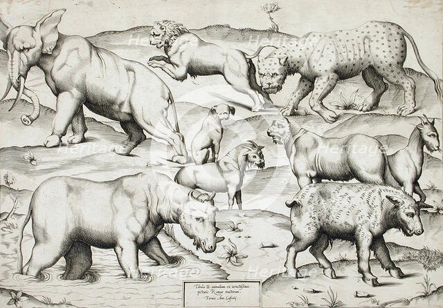Sheet of Animals, 1547. Creators: Enea Vico, Antonio Lafreri.