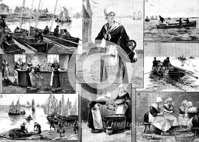 The French Sardine Industry, 1890. Creator: R. Taylor.