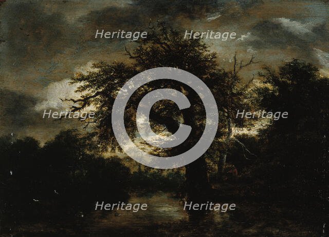 The Old Oak, c1648. Creator: Jacob van Ruisdael.