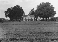 Prosperous farmer's house and farm landscape seen from the road, near Colbreth, North Carolina, 1939 Creator: Dorothea Lange.