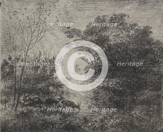 Stags, 1862. Creator: Charles François Daubigny (French, 1817-1878).