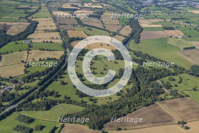 Rokeby Park landscape park, County Durham, 2024. Creator: Robyn Andrews.