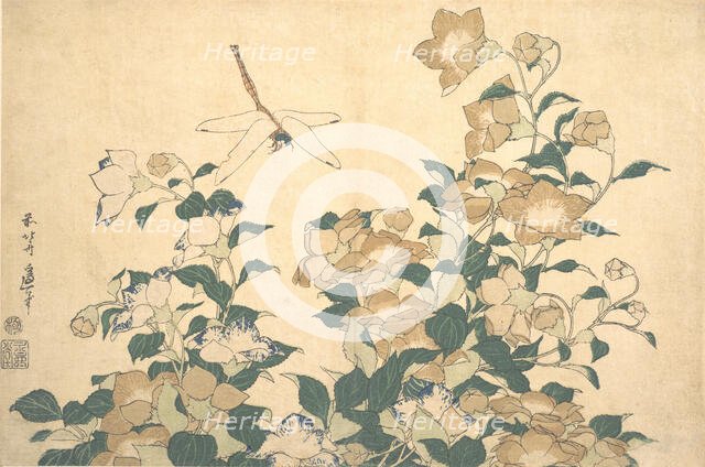 Dragonfly and Bellflower, late 1820s. Creator: Hokusai.