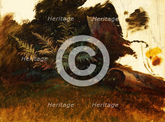 Mountain vegetation, 1860-1890. Creator: Friedrich Carl von Scheidlin.