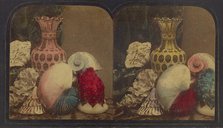 Shells & Vase, about 1860. Creator: London Stereoscopic & Photographic Co.