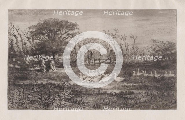 Geese, 1860-98. Creator: Felix Hilaire Buhot.