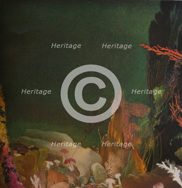 Under the Sea, c1904-1924, (1924). Artist: Glyn Warren Philpot
