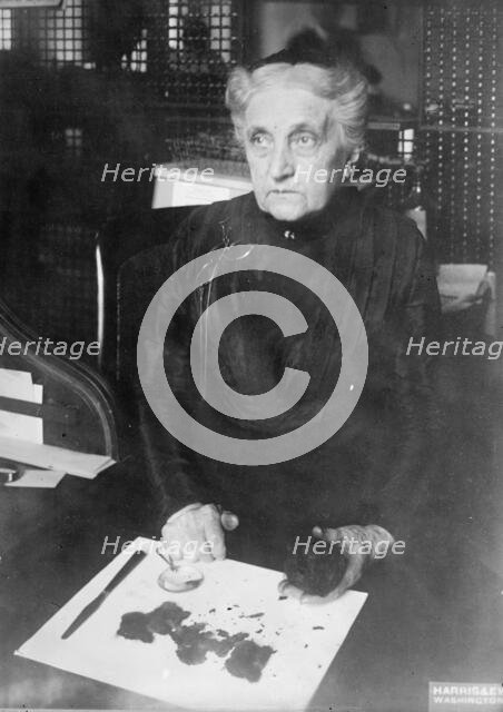 Mrs. Brown of Treasury Department - Identifying Damaged Bills For Redemption, 1913. Creator: Harris & Ewing.