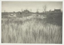 A Rushy Shore, 1886. Creator: Peter Henry Emerson.