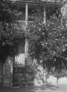 Gate to house garden, [George Eveleigh House, 39 Church Street], Charleston, South Ca..., c1920-1926 Creator: Arnold Genthe.