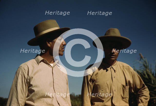 Sugar cane workers, vicinity of Rio Piedras, Puerto Rico, 1941. Creator: Jack Delano.