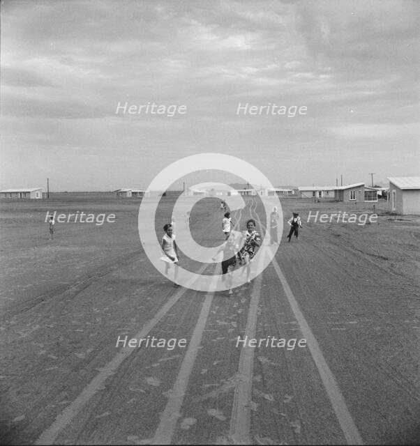 Farm Security Administration Casa Grande project, Arizona, 1938. Creator: Dorothea Lange.