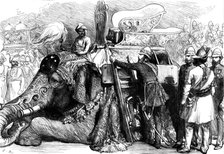The Royal Visit to India: the Prince of Wales mounting his elephant...1876. Creator: C.R..