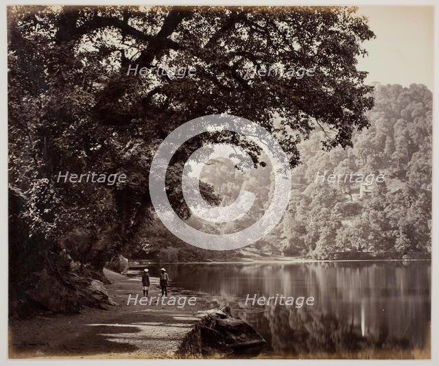 Untitled [trees near water, India], 1870s.  Creator: Samuel Bourne.