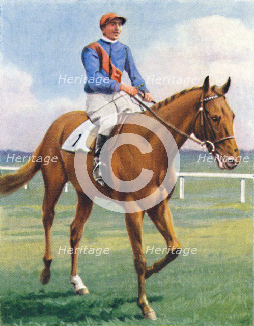 Panorama, Jockey: P. Beasley', 1939. Artist: Unknown.