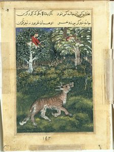 Page from Tales of a Parrot (Tuti-nama): Thirty-first night: The donkey, in a tiger’s skin..., 1558- Creator: Basavana (Indian, active c. 1560-1600), attributed to.