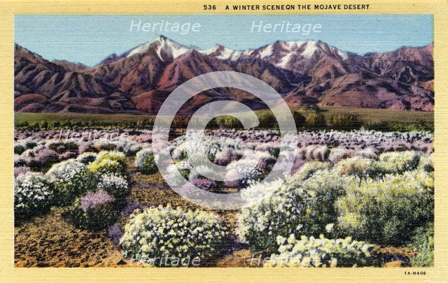 'A Winter Scene on the Mojave Desert', 1931. Artist: Unknown