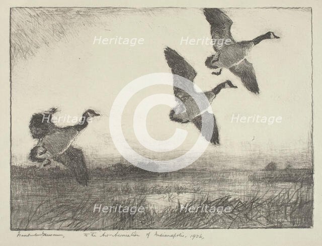 Three Geese, 1936. Creator: Frank Weston Benson.