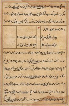 Page from Tales of a Parrot (Tuti-nama): text page, c. 1560. Creator: Unknown.