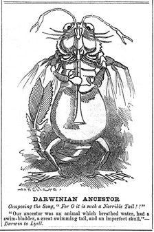 'Darwinian Ancestor', 1887. Artist: George du Maurier