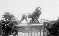 Lion sculpture on the Maiwand memorial in Forbury Gardens, Reading, Berkshire, c1860-c1922. Artist: Henry Taunt
