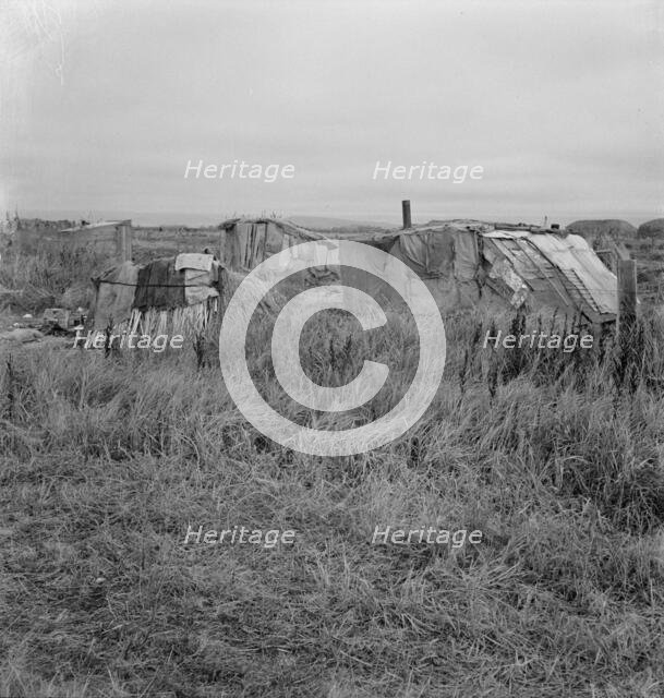 Living conditions for migrant potato pickers, Tulelake, Siskiyou County, California, 1939. Creator: Dorothea Lange.