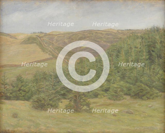 Svanninge Hills, Funen, 1898. Creator: Karl Schou.