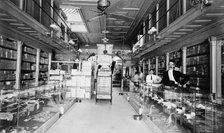 Miller Walker store, Augusta, Ga., between 1895 and 1910. Creator: Unknown.