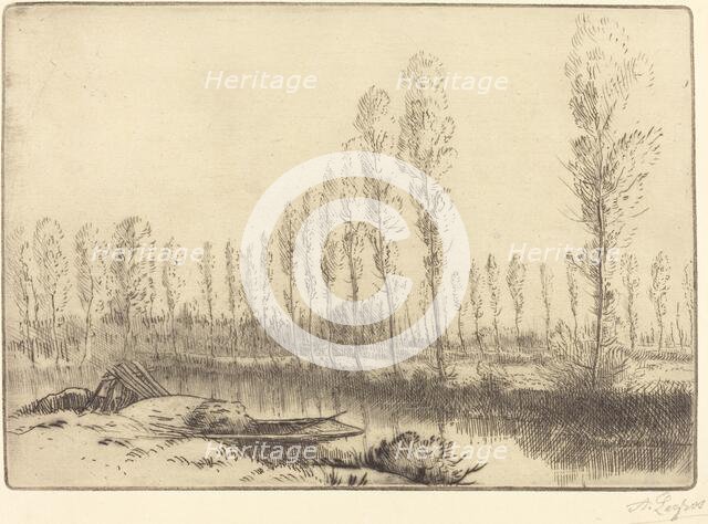 Poplars near Amiens (Pres d'Amiens, les tourbieres). Creator: Alphonse Legros.