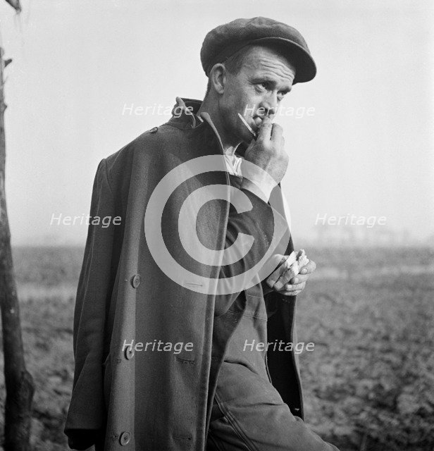 A farm worker eating his lunch, Lincolnshire, c1946-c1959. Artist: John Gay