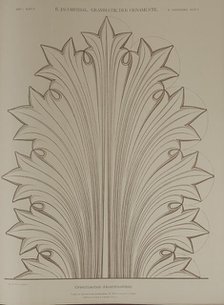 Greek acanthus leaf, 1874.  Creator: Unknown.