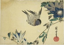 Bullfinch and clematis, 1830s. Creator: Ando Hiroshige.