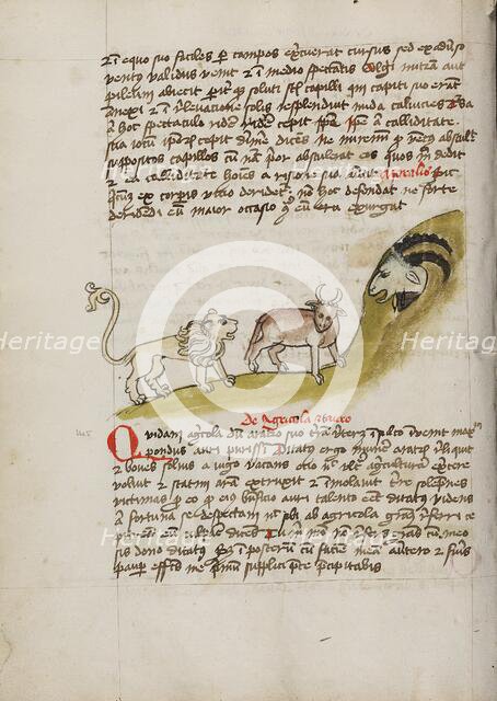 A Lion and an Ox before a Billy-Goat; Fables, third quarter of 15th century. Creator: Unknown.