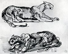 Studies of Panthers, 1913. Artist: Eugène Delacroix
