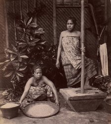 Javanese Women Preparing Rice, 1860s-70s. Creator: Unknown.