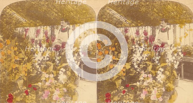 Pair of Stereograph Views of the Royal Botanic Gardens, Kew Gardens, London, England, 1850s-1910s. Creator: J F Jarvis.