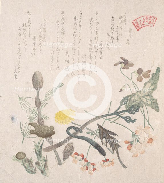 Violets, Primroses and Other Spring Flowers, 19th century. Creator: Kubo Shunman.