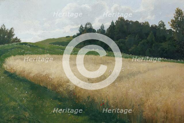 The oat field, 1906. Creator: Adolf Kaufmann.