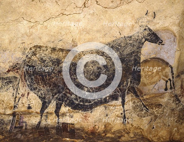 Black Cow. Caves painting of Lascaux, ca 16.000-15.000 BC. Creator: Art of the Upper Paleolithic.