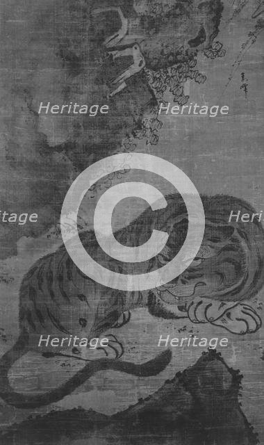 Tiger. Creator: Unknown.