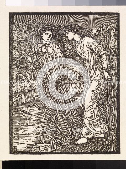 Cupid and Psyche - Psyche is set the Task of collecting the Golden Fleece from Venus' Flocks... Creator: Sir Edward Coley Burne-Jones.