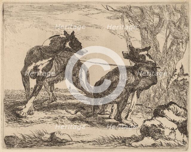 Two Greyhounds, Leashed and Facing Each Other, 1640. Creator: Jan Fyt.