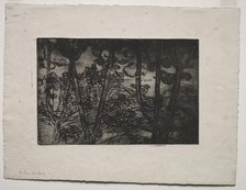 Trees at Night, c. 1894. Creator: Armand Séguin (French, 1869-1903).