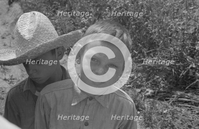 Westmoreland County, Pennsylvania, 1935. Creator: Walker Evans.