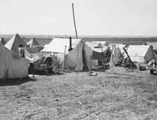 Contractors camp for pea pickers, Santa Clara Valley, 1939. Creator: Dorothea Lange.