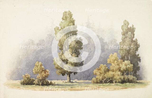 Trees, c1890s. Creator: Albert Edelfelt.