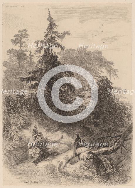 Les Faisans. Creator: Karl Bodmer.