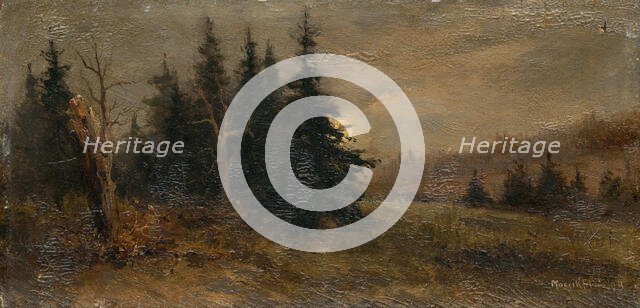 Forest landscape, 1903. Creator: Felicián Moczik.